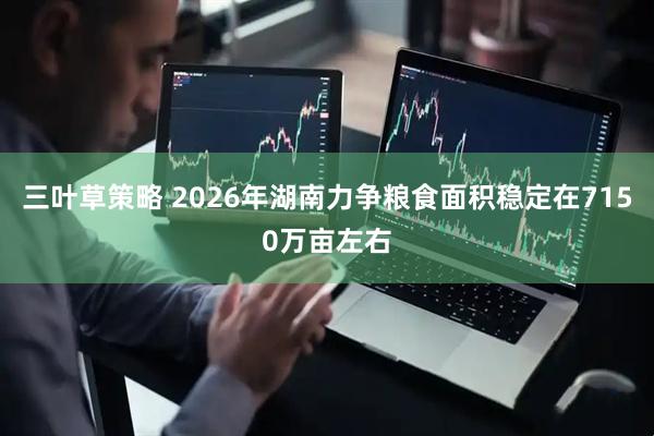 三叶草策略 2026年湖南力争粮食面积稳定在7150万亩左右