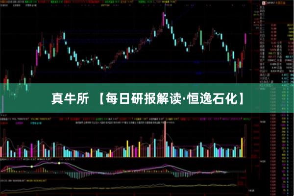 真牛所 【每日研报解读·恒逸石化】
